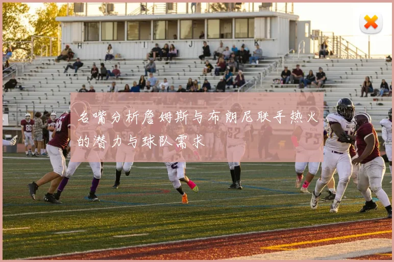 名嘴分析詹姆斯与布朗尼联手热火的潜力与球队需求